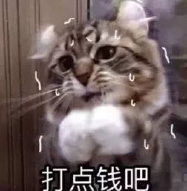 这张表情包发给妈妈吧!求求您了,能给你贫穷的孩子一点生活费吗!