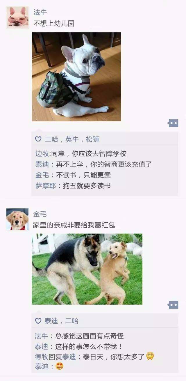 如果狗狗也有朋友圈