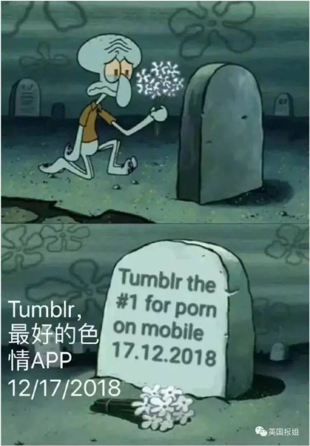 全网“最色情”社交网站凉了！突然下架成人内容，30万男网友愤怒抗