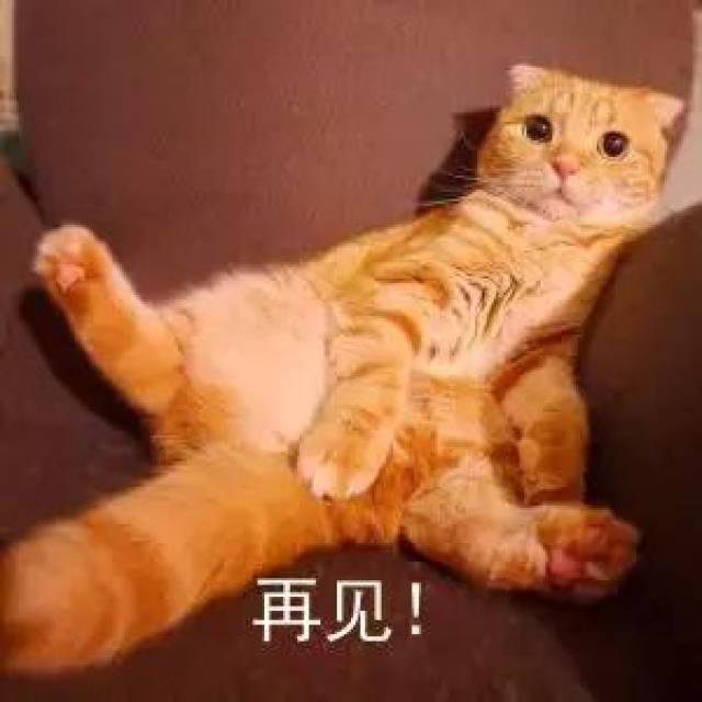 2018十大流行语出炉,居然没有C位!