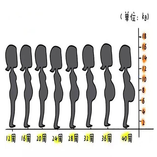 孕妇肚子太小,是胎儿小吗?