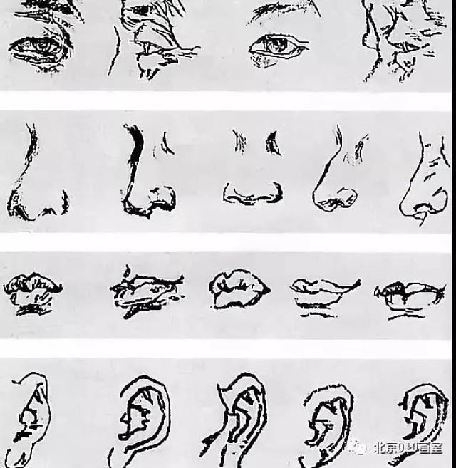 速写五官的详细解析!