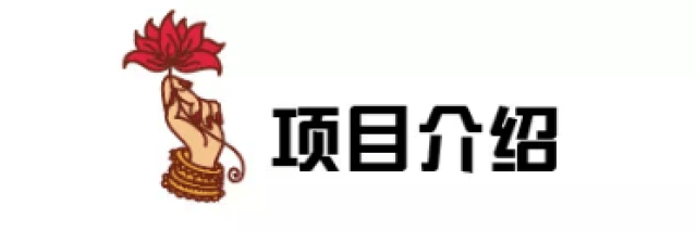 双十二|义工游学项目大价!