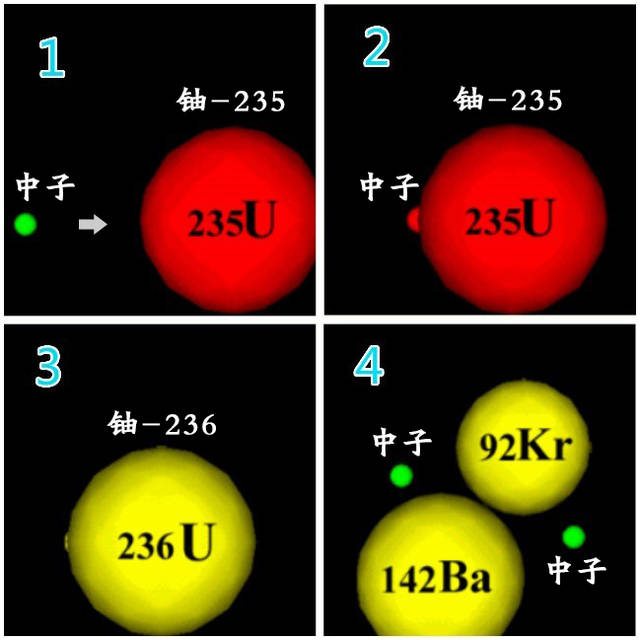 变成了不稳定的铀-236(图3),在很快的时间内分裂成几个质量更小的原子