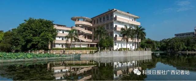 广西大学雄踞于南宁的西北角,校区交通便利,绿树成荫,湖光潋滟,环境