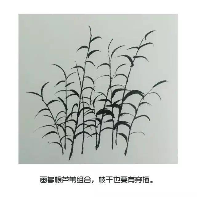 【国画知识】芦苇的画法