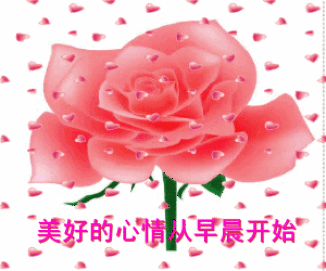 300_250