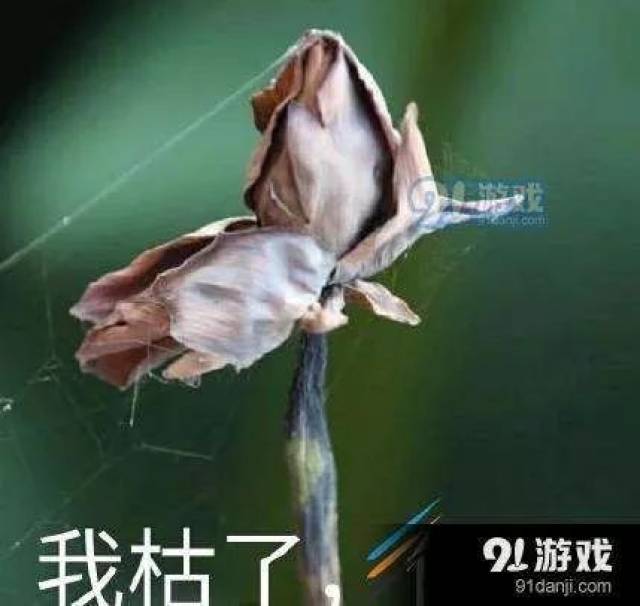 2018十大中文流行语+网络用语,怎么翻译?