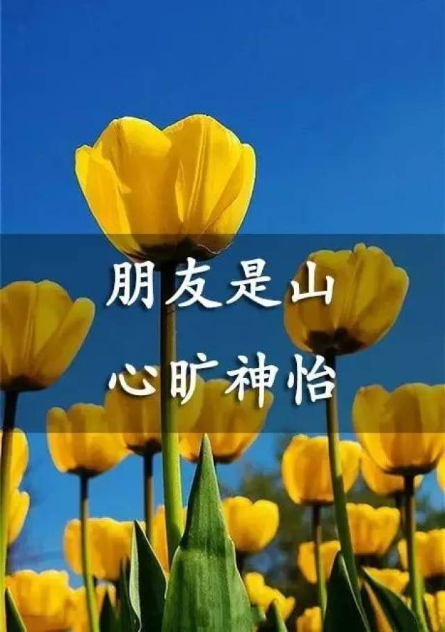 友情全凭一个信字延续,朋友全靠一个心字长久!