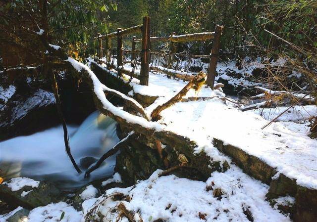 卧龙里面雪一直都在下,熊猫基地往前走的邓生沟特别好看,茂密的林地