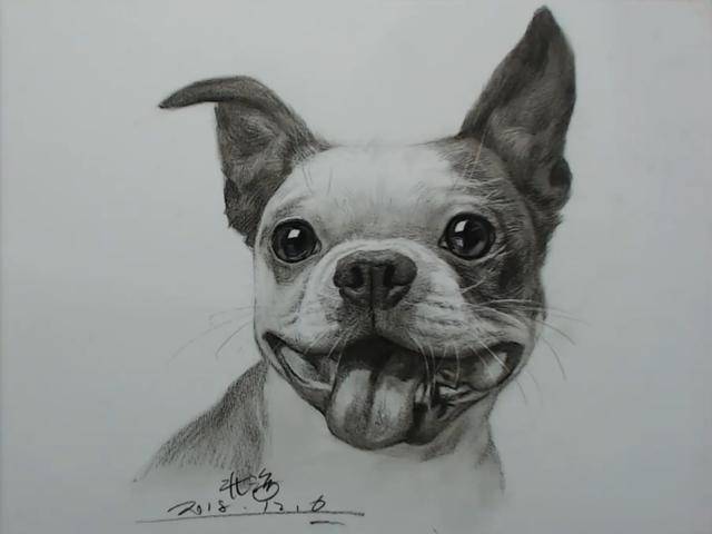 听说你想画素描狗子?教程在这了!名师教你画超可爱斗牛犬
