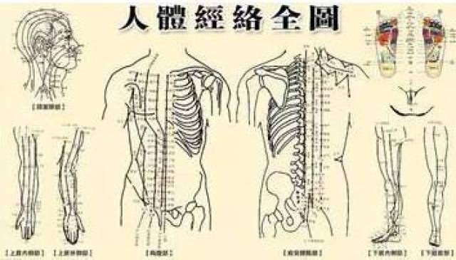 人体14条经络都能治疗哪些病?你一定要看看!