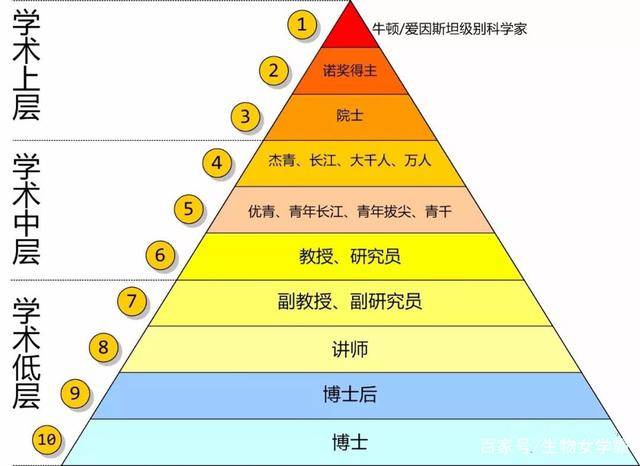 搞科研也不例外, 看看现在的你在下面科研学术金字塔的哪个位置?