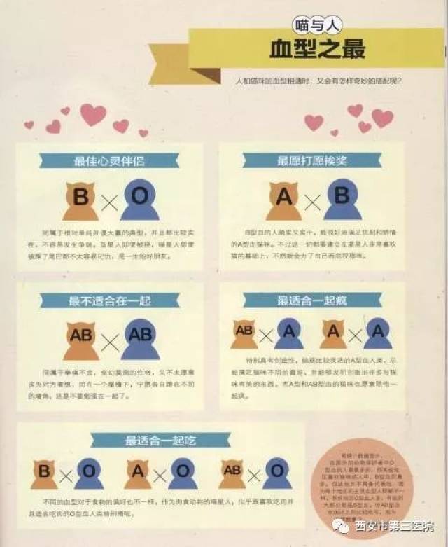 【喵星人的迷妹们】你家的喵是什么血型呢?
