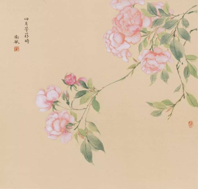 《芳菲—蔷薇》|33.0x33.0cm|绢本设色