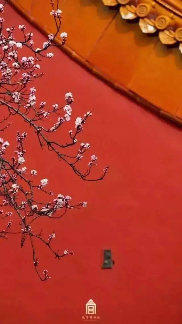 时运不济,妄求无益