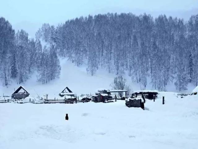 冬为四季之末,一年之尾,此时,天寒地冻,白雪皑皑.