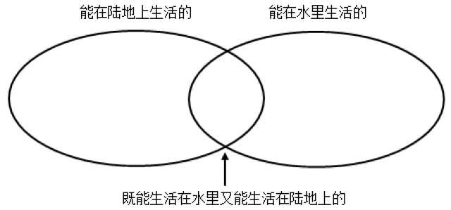 人教版三年级数学(上)数学广角《集合》复习