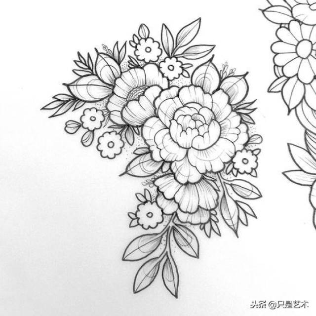 线描黑白花朵合集,一组好素材,值得收藏