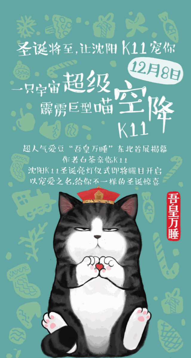 沈 阳k11携手吾皇万睡 为各位"铲屎官"独家提供撸喵机会