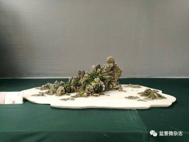 盆景大师田一卫用作品展现巴渝文化