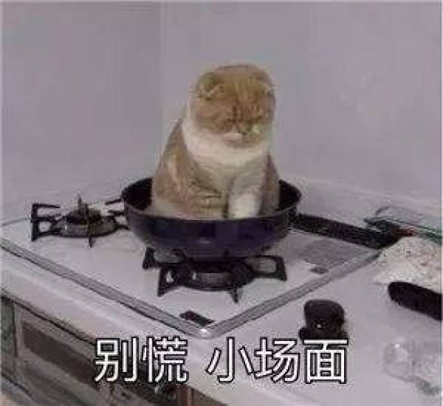 2018十大中文流行语+网络用语,怎么翻译?