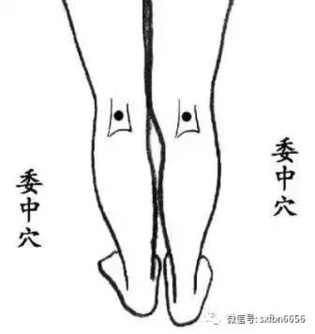 ϥ 
