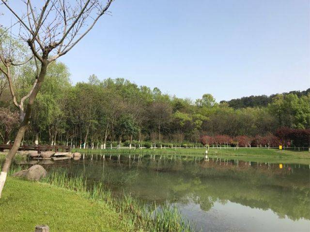 基地介绍|聚宝山体育拓展训练基地——南京市郊的一块绿肺