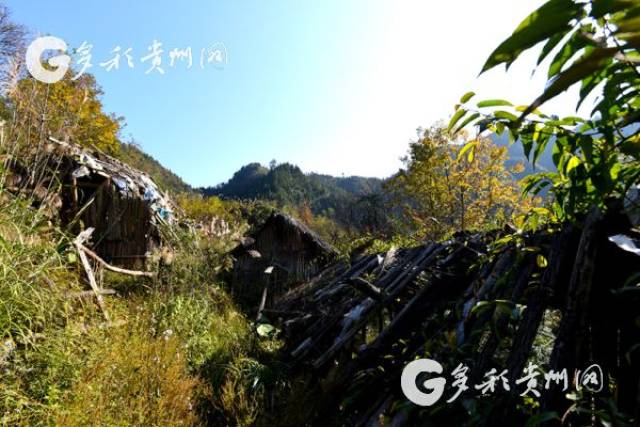 64年，一家三代人的坚守