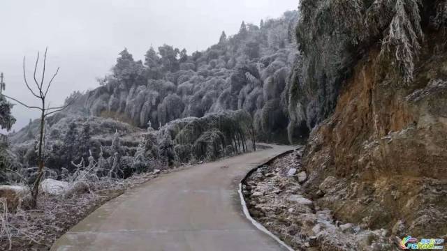 结冰!下雪!融水县高寒山区已成冰雪世界【组图】