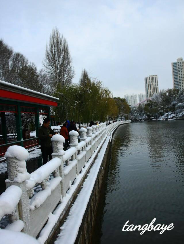 高原古城西宁冬天下完雪的人民公园就 是一个银白色的