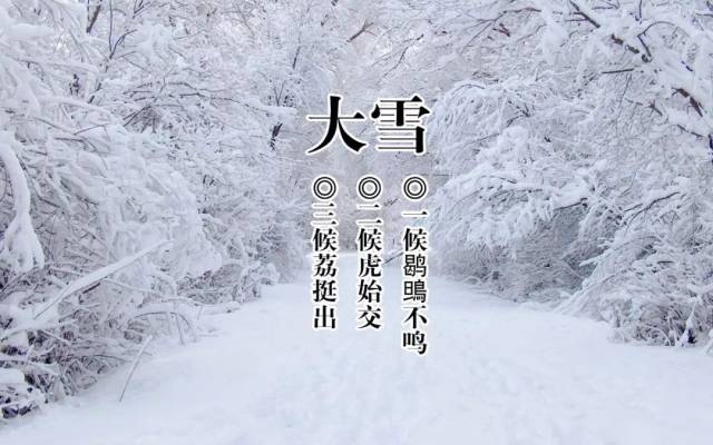 大者盛也丨赵学敏自作《二十四节气诗·大雪》书法欣赏