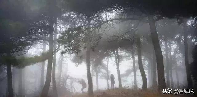 梦境迷雾，解析从手臂中涌出的细白长虫之梦
