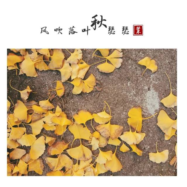 这篇推送从秋天等到了冬天