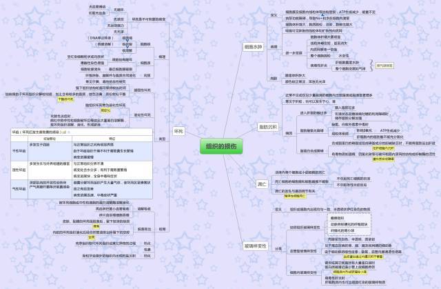 【分享】病理学思维导图