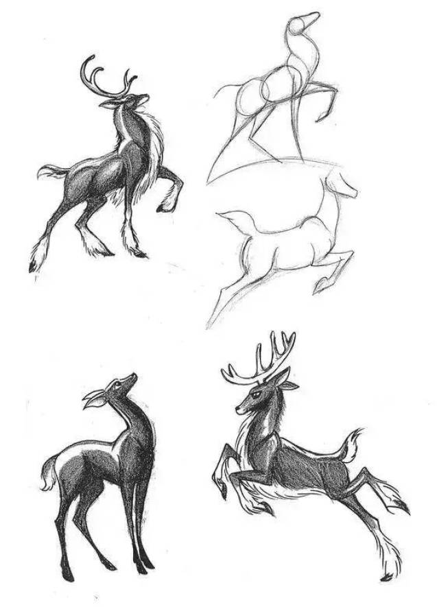 素材-鹿的一些画法
