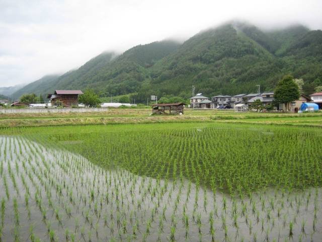农村的生活,平静而又祥和,跟的农村差别不大