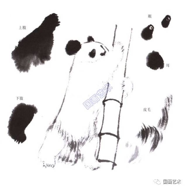 图文教程大熊猫的画法