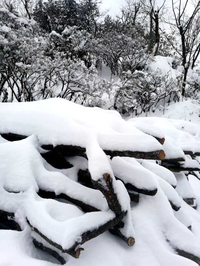 安徽下雪了,最美的雪在这里