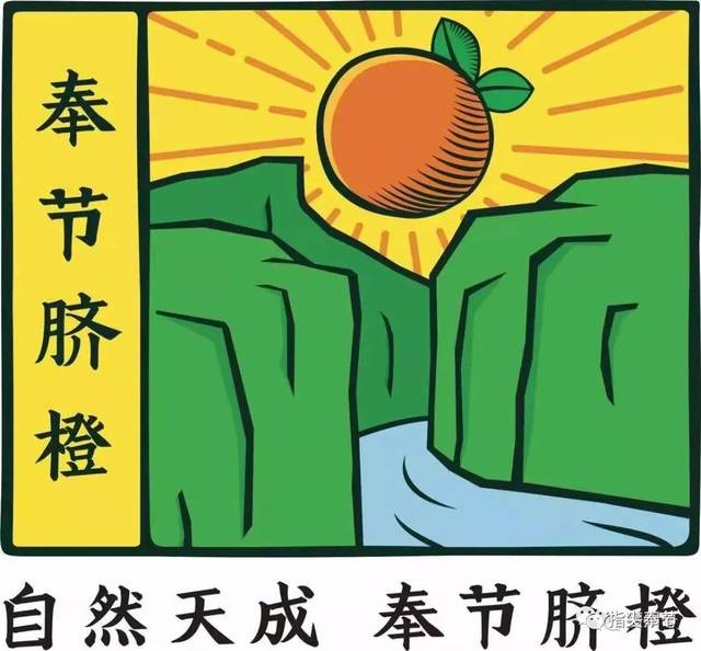 奉节脐橙入选"国家品牌计划—广告精准扶贫"项目 档期满满热度直飙_