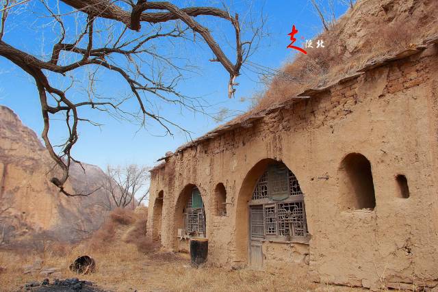 荞面饸饹羊腥汤,死死活活相跟上,陕西小吃之