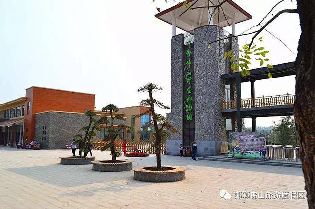 邯郸野生动物园就要正式开发了