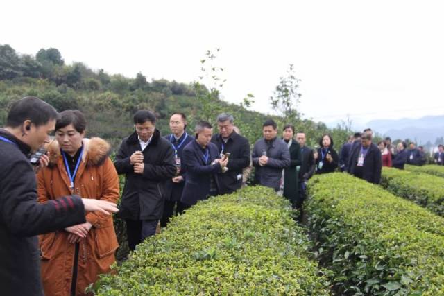 古丈县在湖南省高等院校服务脱贫攻坚现场基地建设现场会作典型发言