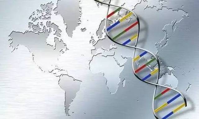 能够提高对多种疾病的精准诊疗,自1990年"人类基因组计划"启动以来,多