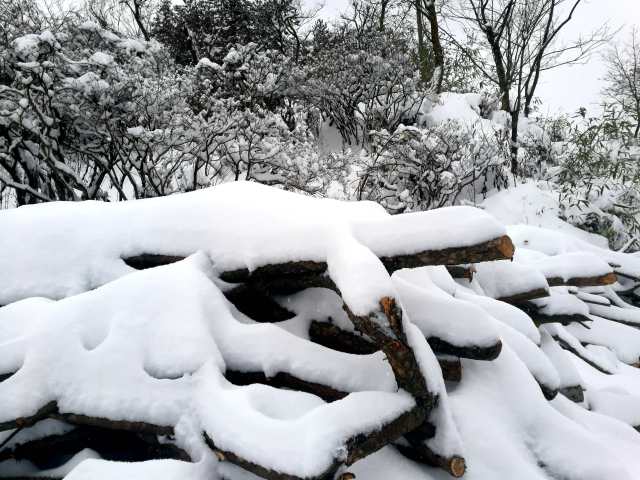 安徽下雪了,最美的雪在这里