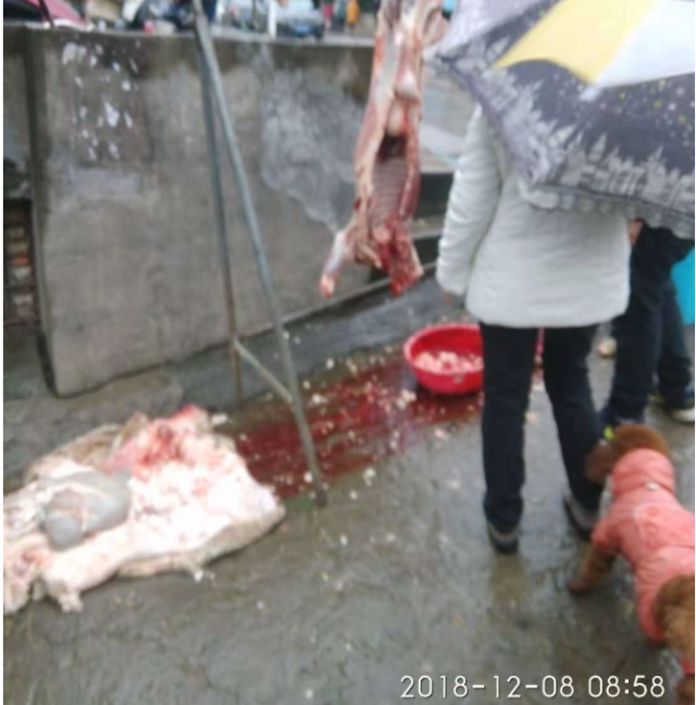 九江商贩当街宰羊割肉,市民直言场景太血腥