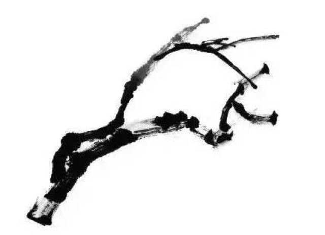 4,以泼墨法和破墨法生辅枝,呈"y"字形.