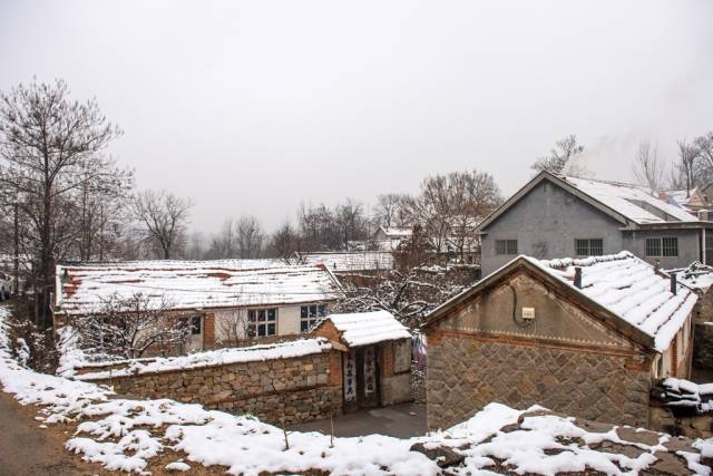 北方乡村的雪