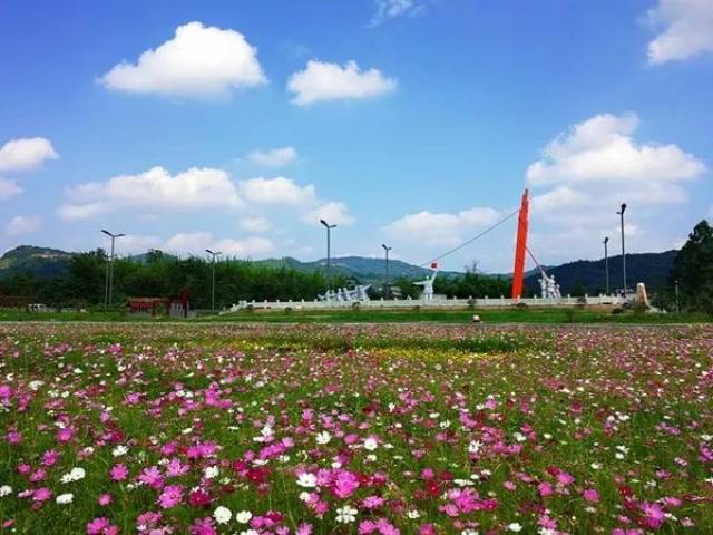 【12月14日】成都天府新区合江第十三届冬草莓节隆重开幕