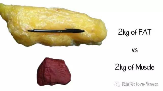 一张图告诉你, 5磅,10磅,磅,20磅脂肪有多少